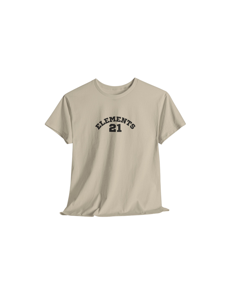 21 Elements Sports logo