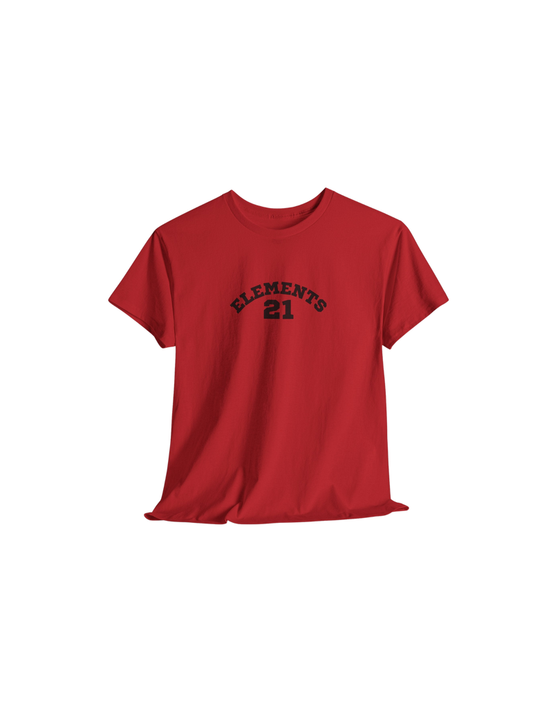 21 Elements Sports logo